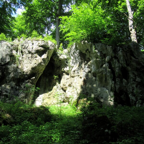 Bogdaniec - nowy rezerwat przyrody