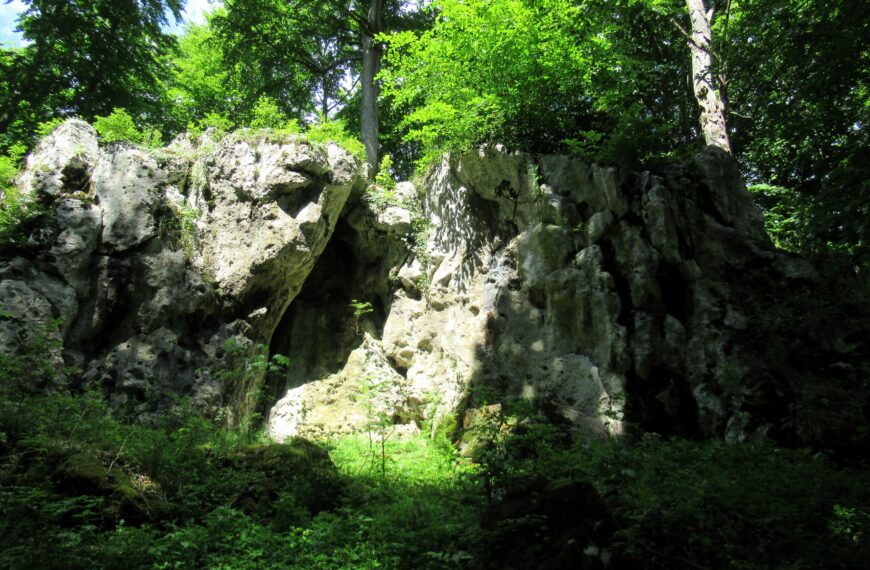 Bogdaniec - nowy rezerwat przyrody