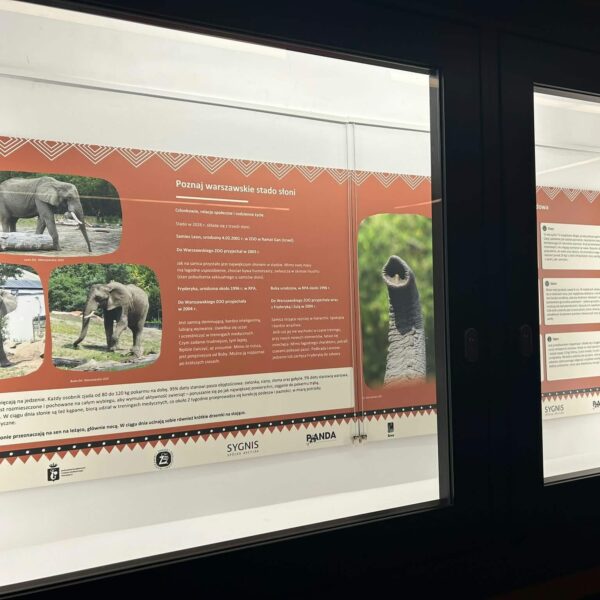 Wystawa plenerowa Warszawskiego ZOO przy trasie W-Z fot. Warszawskie ZOO