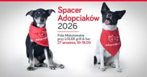 adopciak