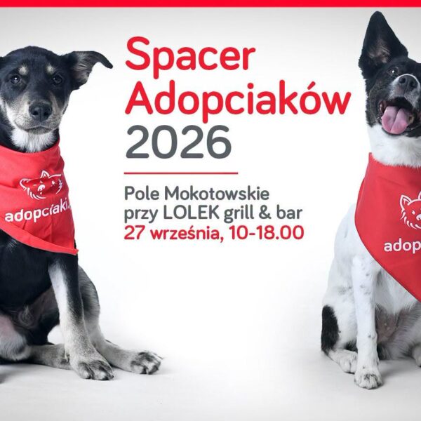 adopciak