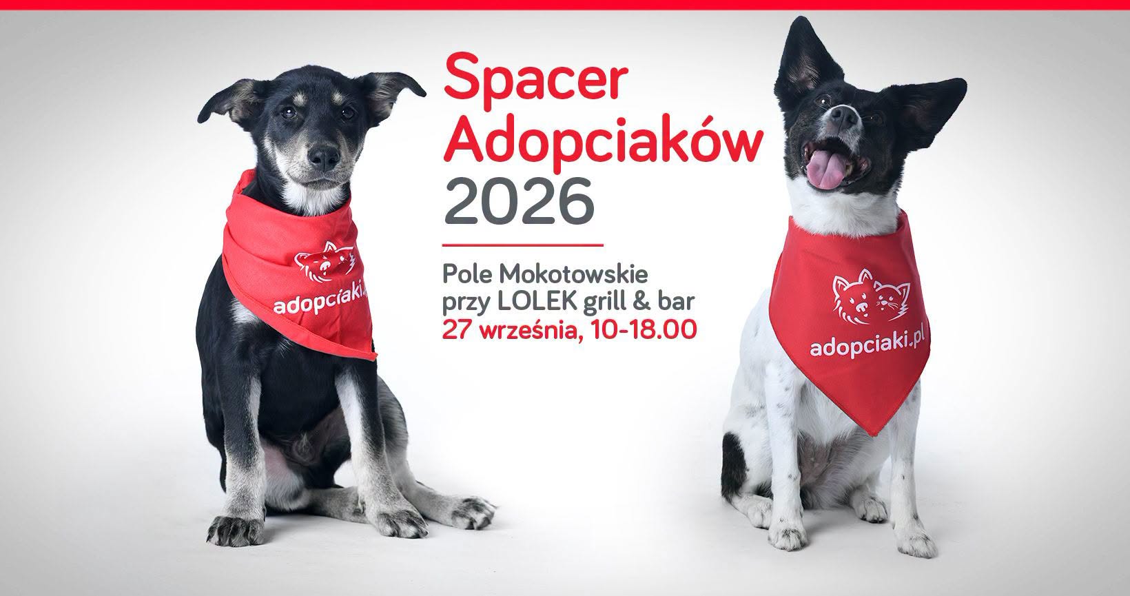 adopciak