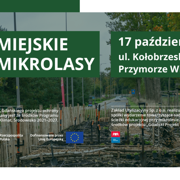 mikrolasy