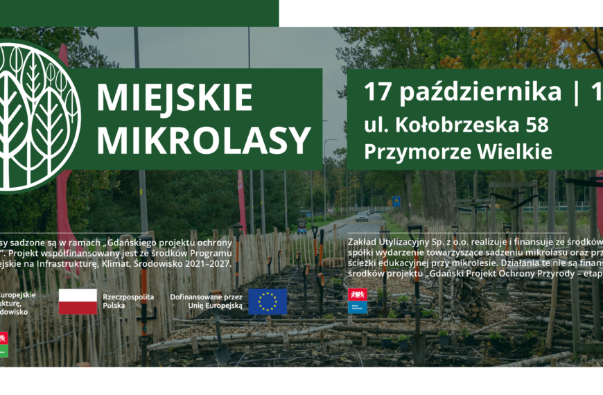 mikrolasy