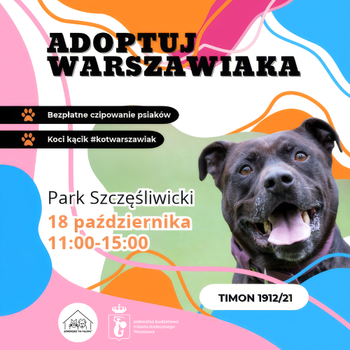 Schronisko na Paluchu zaprasza na ostatnią w tym roku edycję plenerowej akcji Adoptuj Warszawiaka