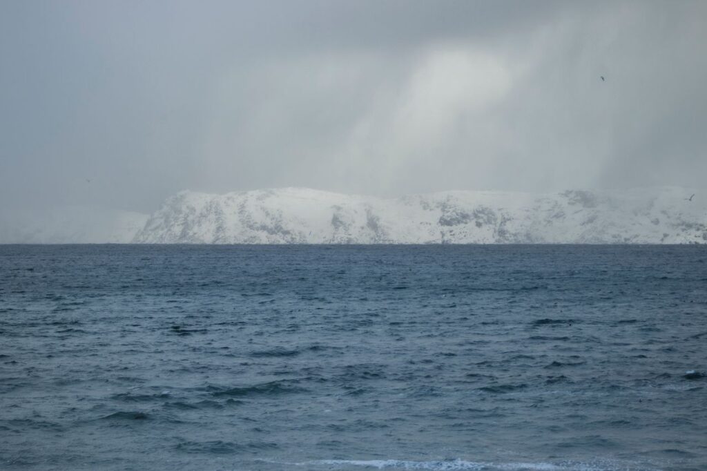 Morskie grzyby w walce ze zmianami klimatu. Czy są skuteczne? 1 ocean arktyczny
