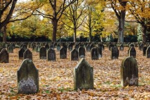 Miejsca spoczynku zmarłych w Amaluza okazały się paradoksalnie bezpieczną ostoją dla unikalnych, prowadzących podziemny tryb życia węży Fot. Magnific